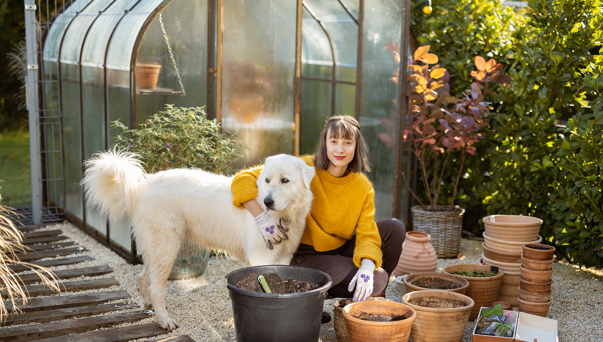Pawsitively Plantastic: Dog-Friendly Plants for Your Garden