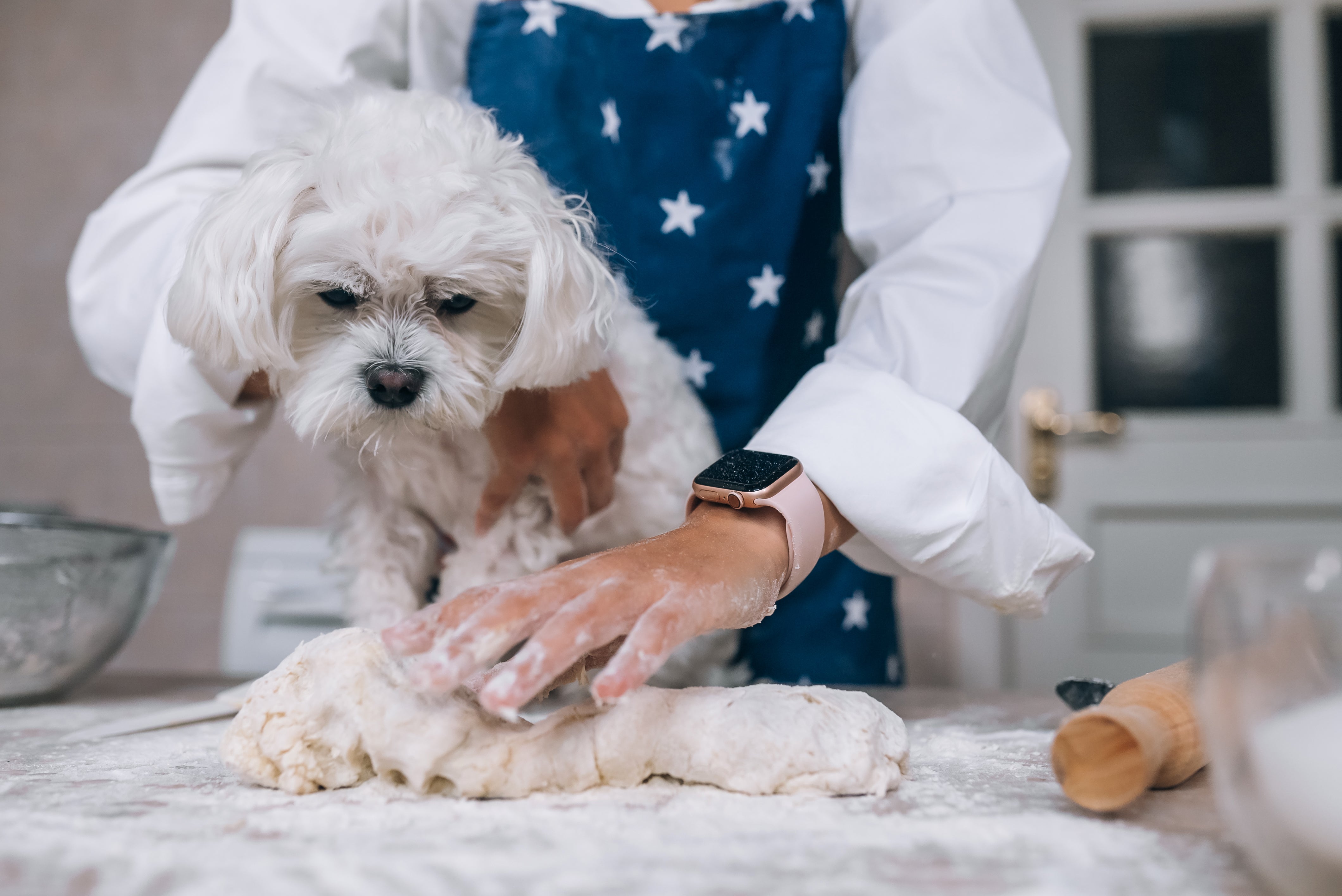 Wholesome and Wag-Worthy: DIY Natural Tasty Treats for Your Pup!