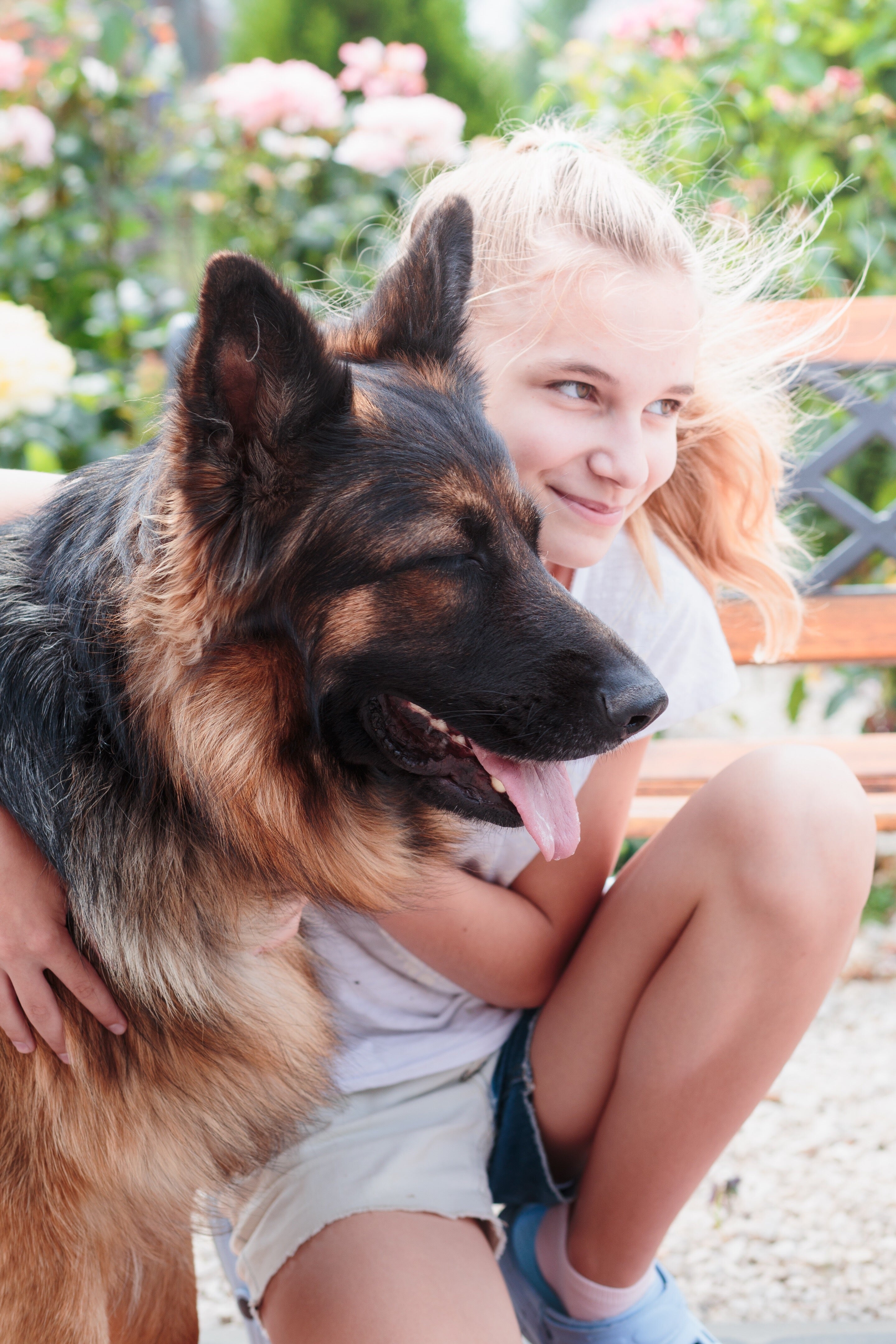 German Shepherds: The Versatile and Loyal Canine Companion
