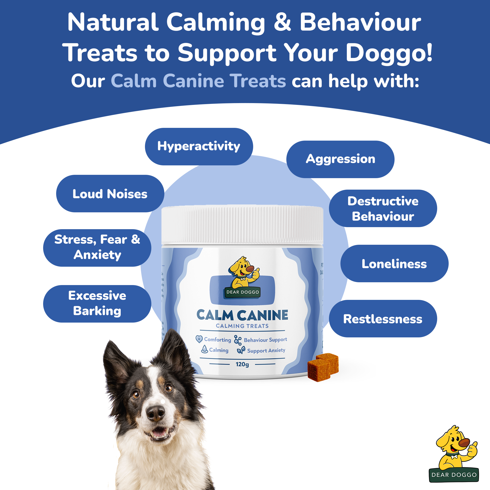 Calming chews for store dogs