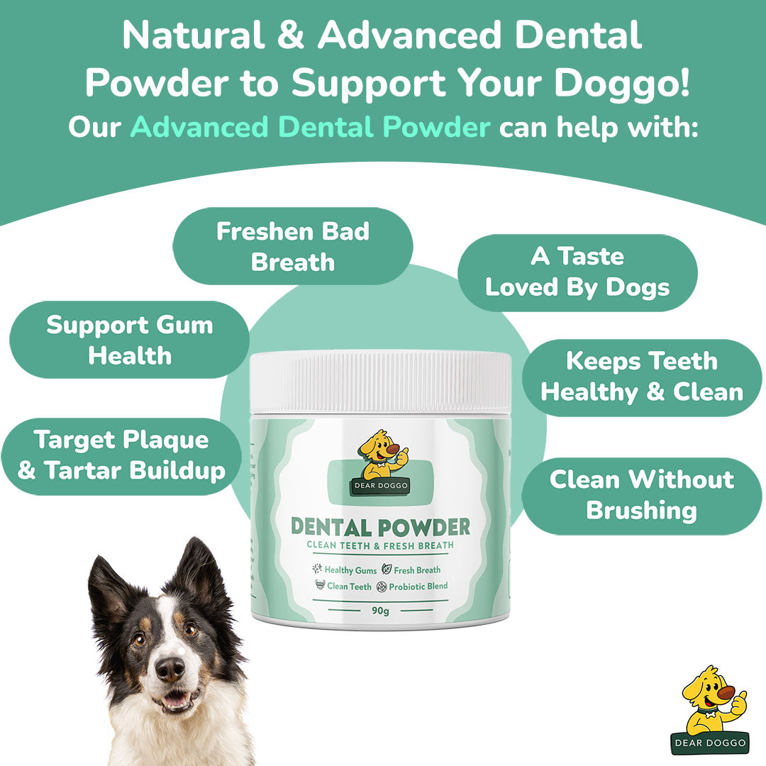 Advanced Dental Powder