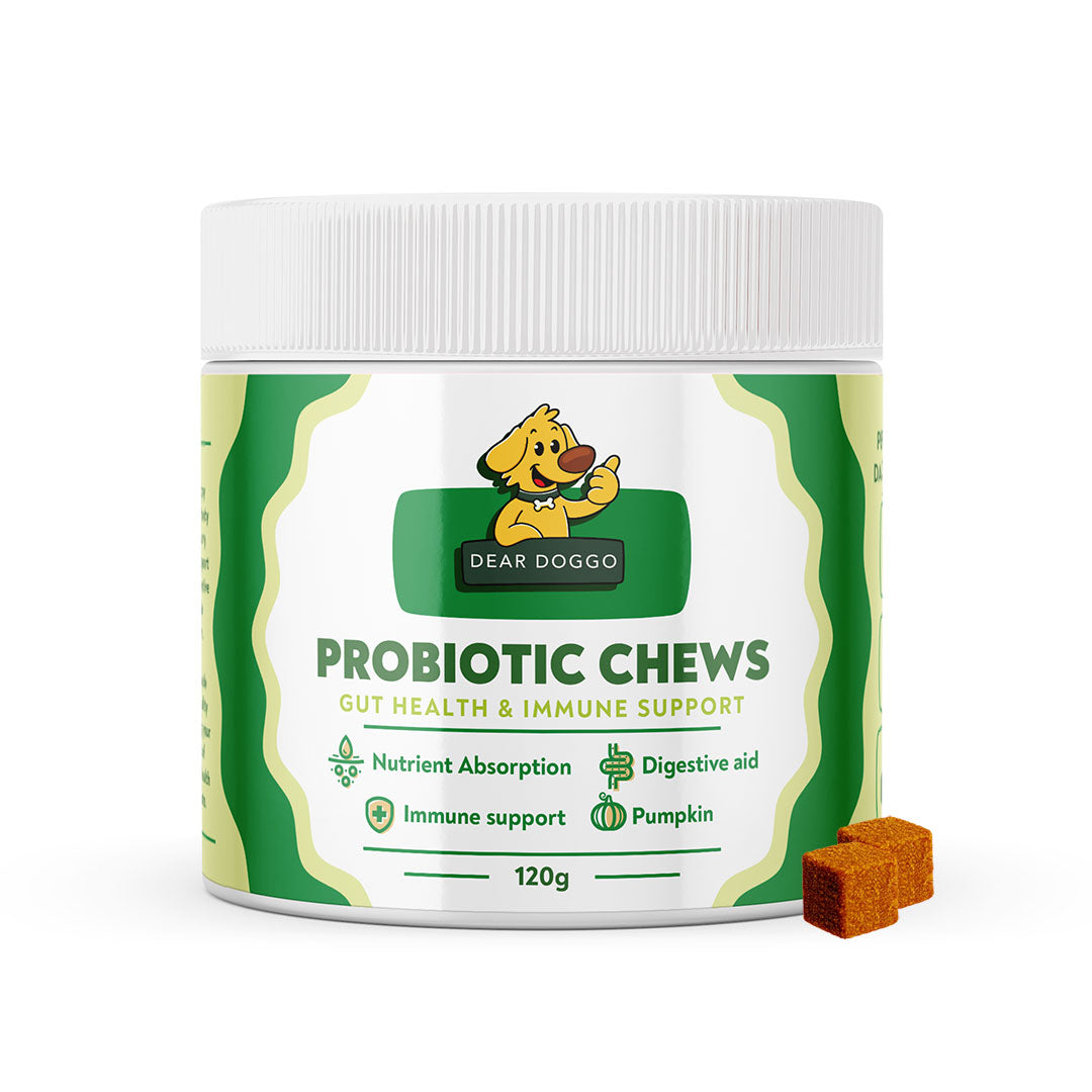 Daily Probiotic Chews